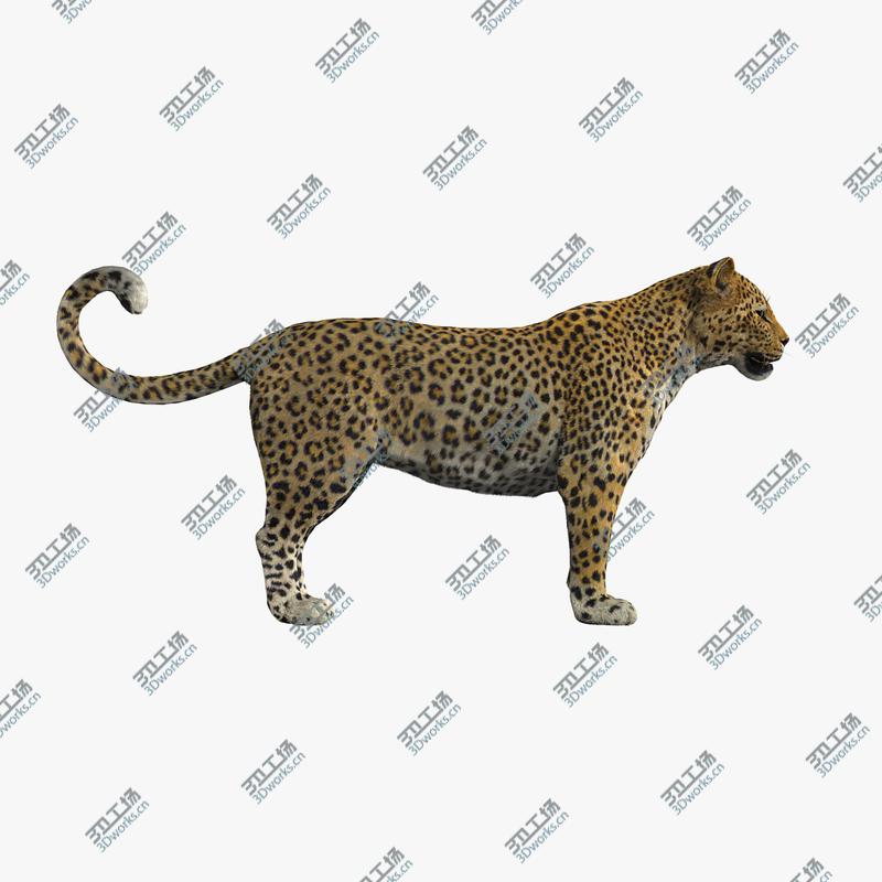 images/goods_img/2021040163/Leopard (FUR)/4.jpg